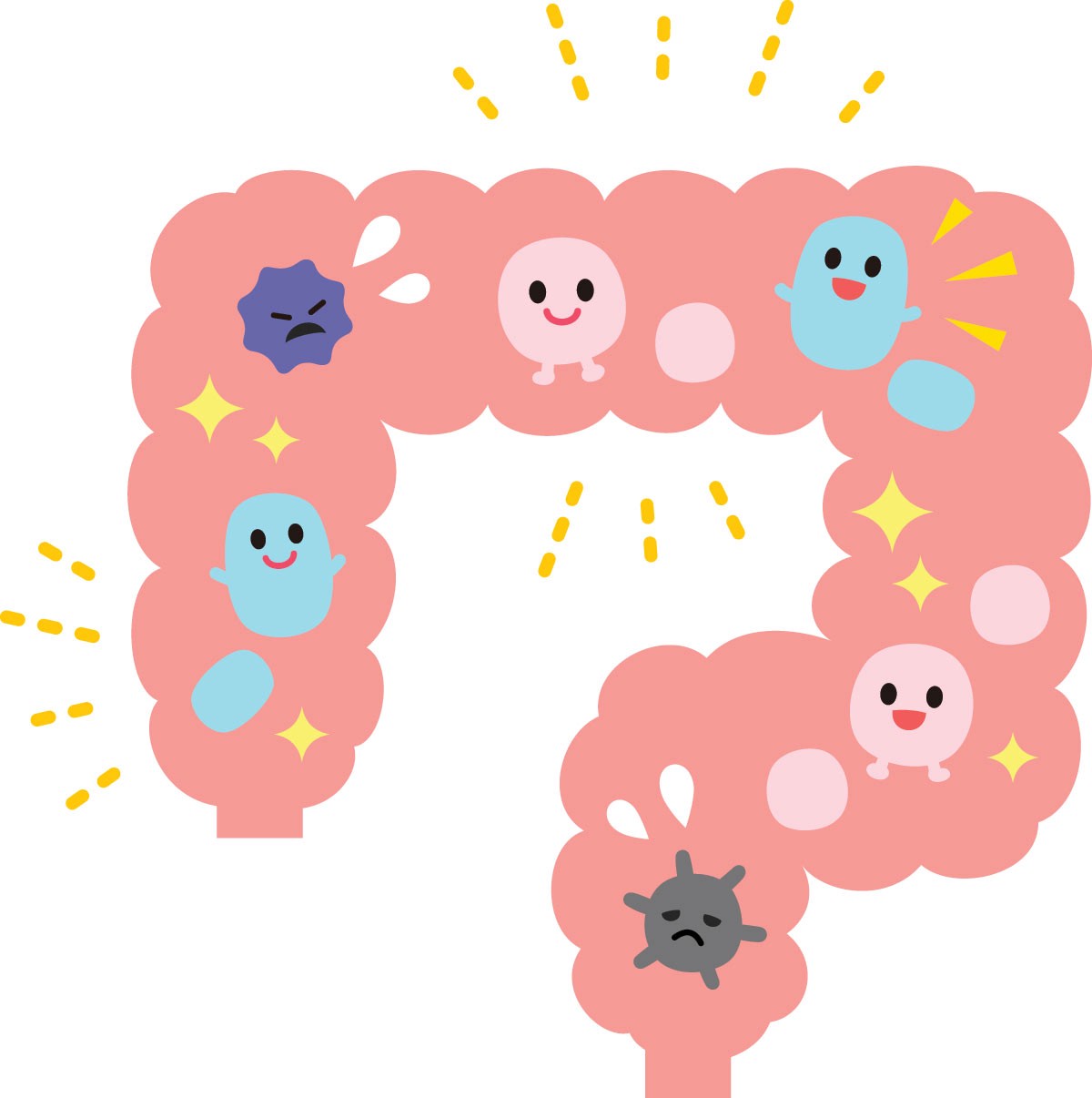 BioGold][MVS cân bằng hệ VS đường ruột. Tại sao khi uống thuốc KS nên bổ sung MVS] - Bio-acimin