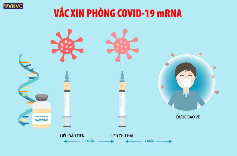 Vaccine Pfizer (BNT162b2) chống Covid-19 hiệu quả [THEO FDA] | VNVC
